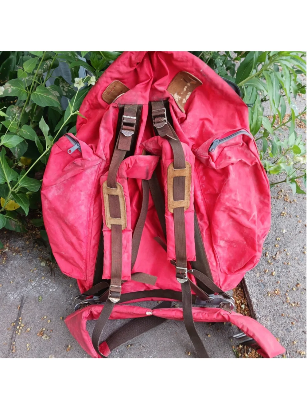 north face backpack women for school The Women's Jester Everyday Backpack, Pnk Moss, One Size American Tourister Tech Gear self-defense accessory the Recon excels with Color:White/Chart.